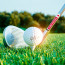Golf Sticks